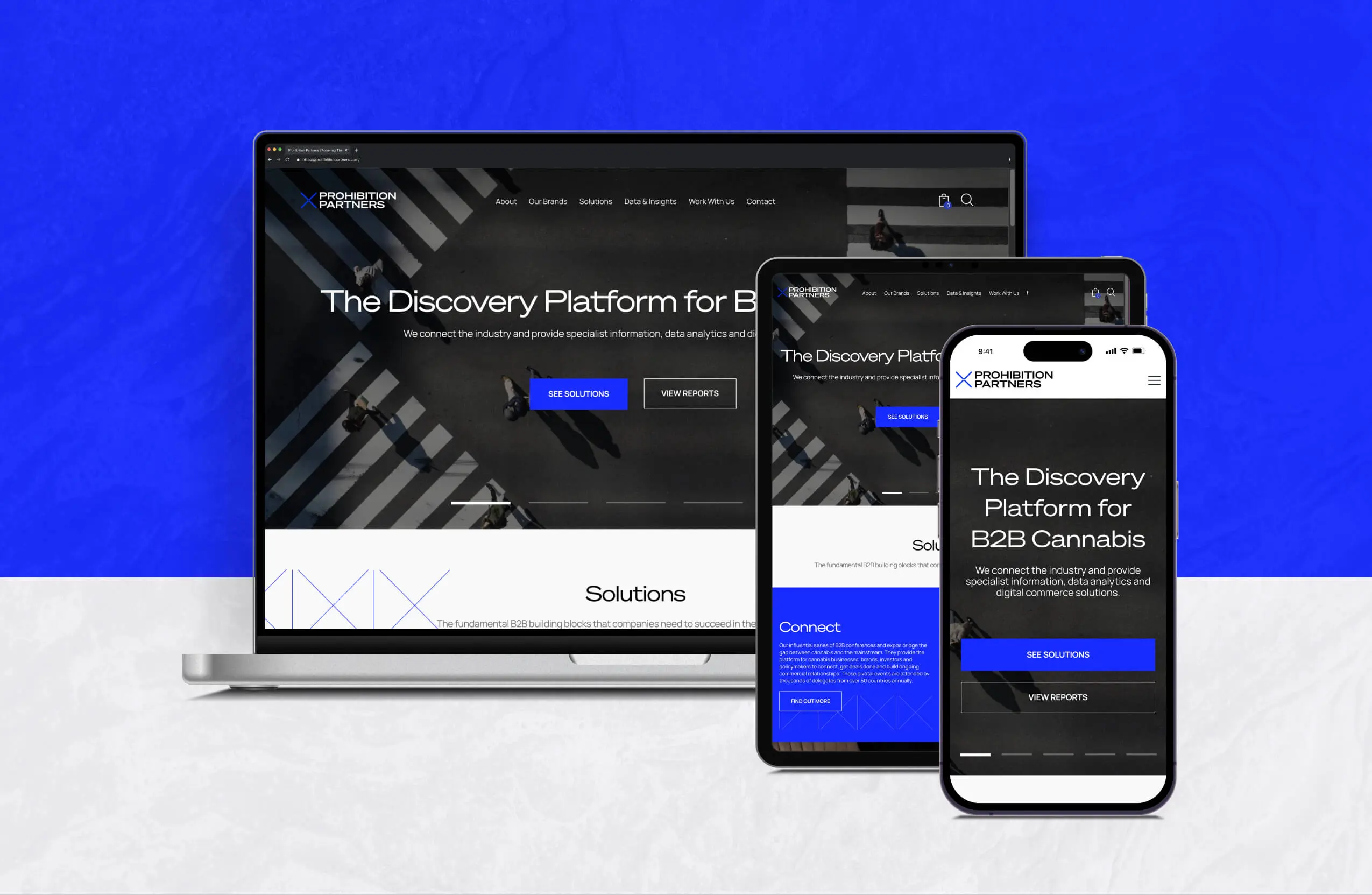 Website we built for Prohibition Partners